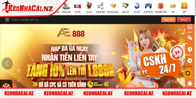 AE888 - Nhà Cái Đá Gà Trực Tuyến Uy Tín Số 1 Việt Nam - 2 AE888 là nền tảng đá gà trực tuyến được ưa chuộng trên thị trường hiện nay