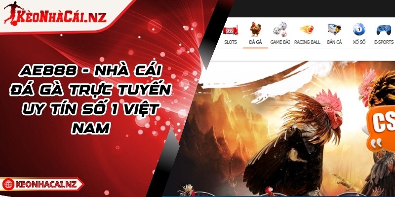 AE888 - Nhà Cái Đá Gà Trực Tuyến Uy Tín Số 1 Việt Nam - 1