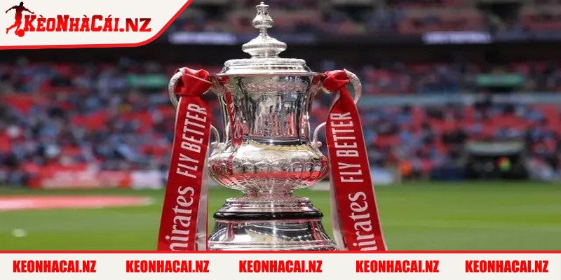 FA Cup (Football Association Challenge Cup) là giải đấu cúp lâu đời nhất