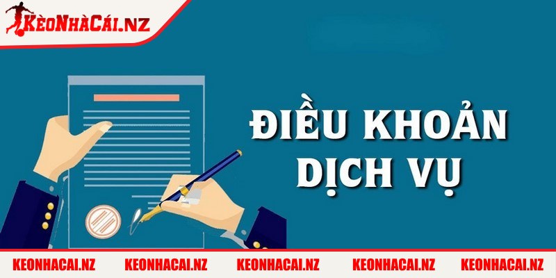 Điều Khoản Dịch Vụ - 3 Chính sách xử lý vi phạm điều khoản dịch vụ