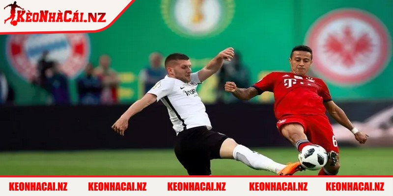 Kết Quả Bóng Đá Cúp Quốc Gia Đức Chi Tiết Từng Trận - 3 Theo dõi bảng KQBD trải nghiệm dưới góc nhìn chiến thuật