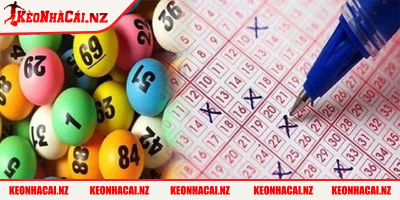 QH88 - Nhà Cái Xổ Số Trực Tuyến Minh Bạch Bậc Nhất - 4 Bộ lọc thống kê chuyên biệt nhìn nhận rõ hơn về xu hướng