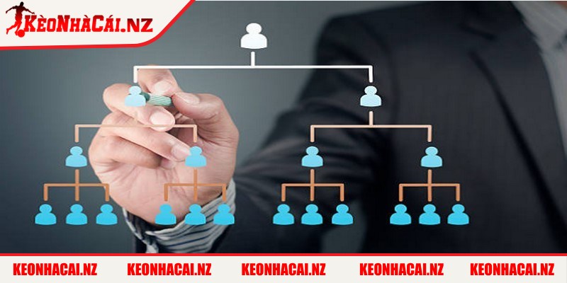 Mọi hoạt động tại Kèo Nhà Cái đều hướng đến tính minh bạch