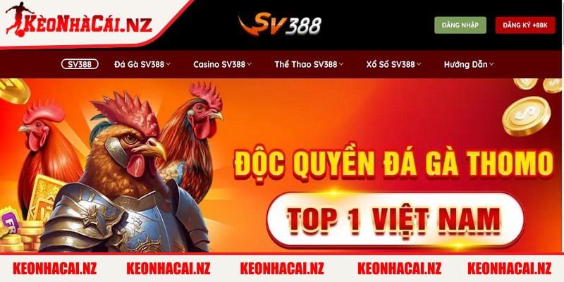 SV388 là một trong những thương hiệu cá cược trực tuyến uy tín hiện nay