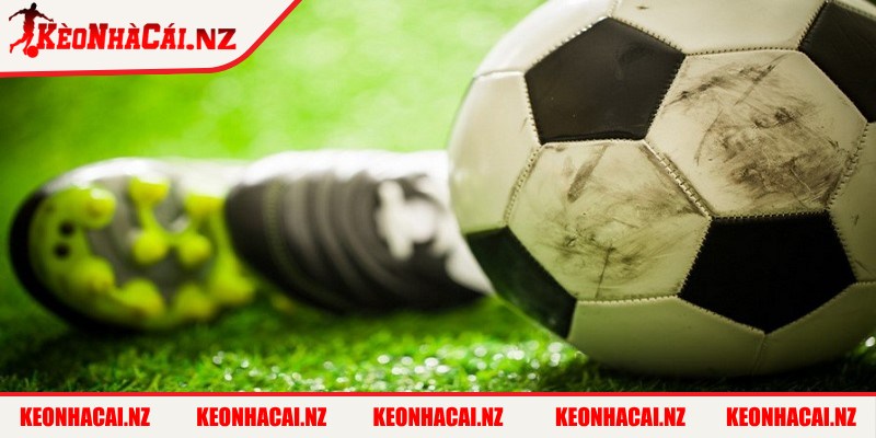 Từ Điển Kèo Nhà Cái Cho Người Mới - Thuật Ngữ Thông Dụng - 2 Hiểu rõ từ điển kèo nhà cái cho người mới tránh mắc sai sót