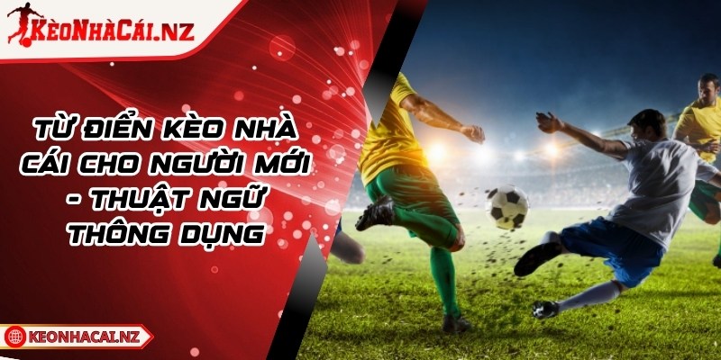 Từ Điển Kèo Nhà Cái Cho Người Mới - Thuật Ngữ Thông Dụng - 1
