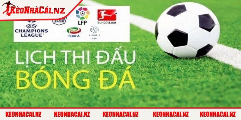 Về Chúng Tôi - 2 Những dịch vụ nổi bật của nền tảng Kèo Nhà Cái